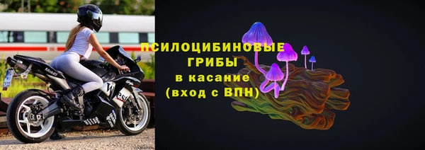 соль ск Нефтекумск