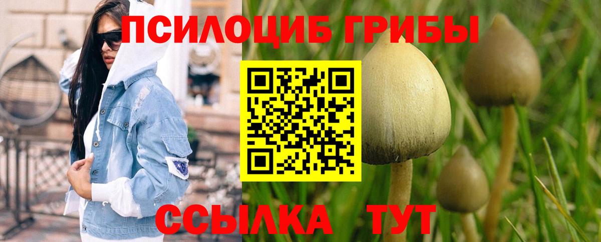 Кубинка  Псилоцибиновые грибы GOLDEN TEACHER  Вход с VPN 